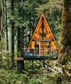 Treehouse Rentals: The 25 Best Treetop Cabins From Around the USA